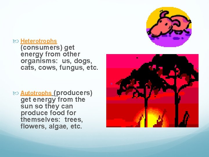  Heterotrophs (consumers) get energy from other organisms: us, dogs, cats, cows, fungus, etc.