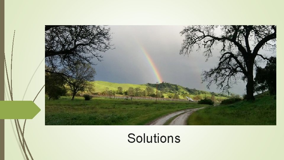 Solutions 