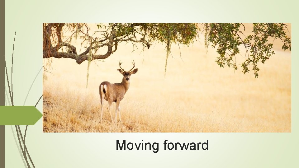 Moving forward 