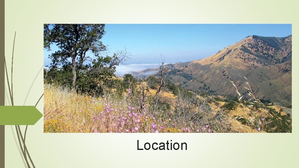 Location 