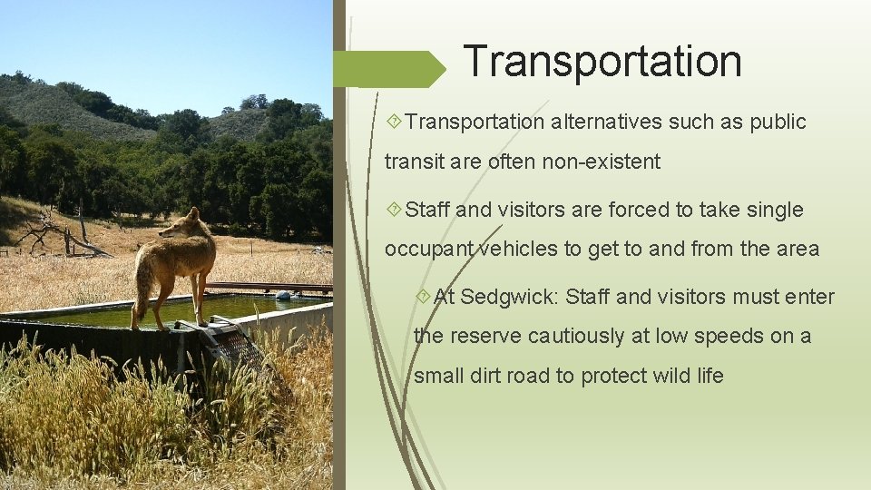 Transportation alternatives such as public transit are often non-existent Staff and visitors are forced