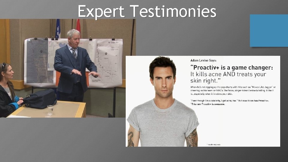Expert Testimonies 