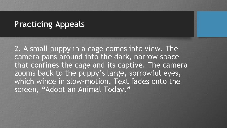 Practicing Appeals 2. A small puppy in a cage comes into view. The camera