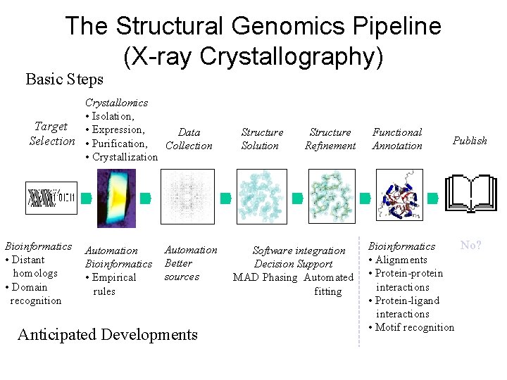 The Structural Genomics Pipeline (X-ray Crystallography) Basic Steps Crystallomics • Isolation, Target • Expression,