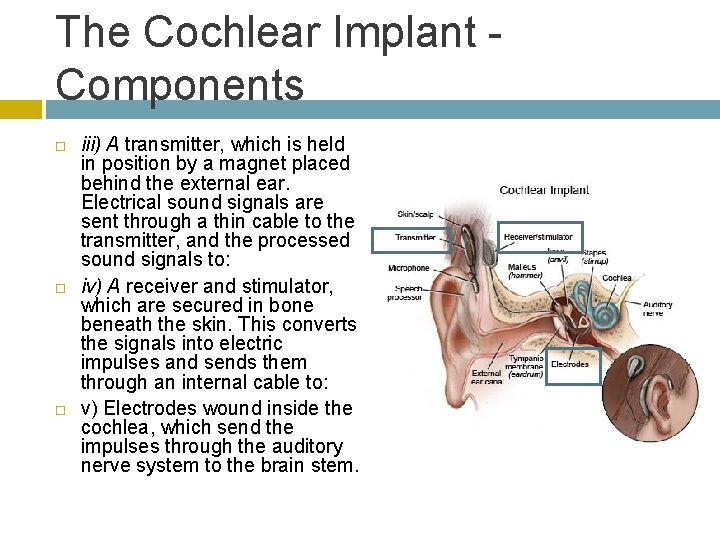 The Cochlear Implant Components iii) A transmitter, which is held in position by a