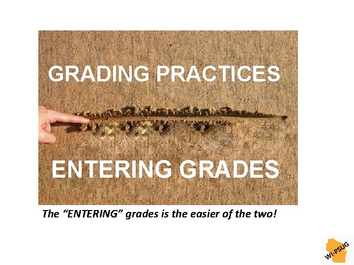 GRADING PRACTICES ENTERING GRADES The “ENTERING” grades is the easier of the two! 