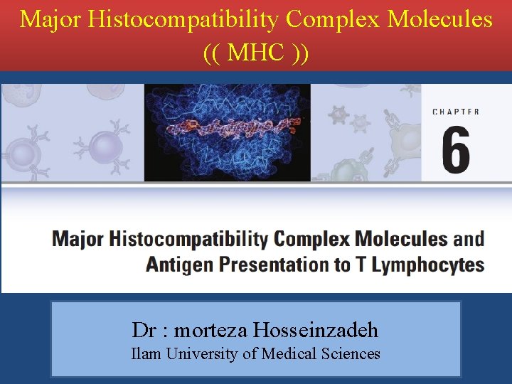Major Histocompatibility Complex Molecules (( MHC )) Dr : morteza Hosseinzadeh Ilam University of