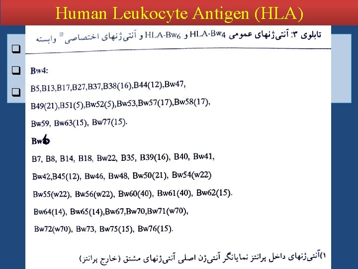 Human Leukocyte Antigen (HLA) q Public ( Common) Ag : BW 4 , BW