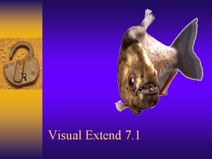 Visual Extend 7. 1 