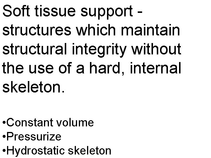 Soft tissue support structures which maintain structural integrity without the use of a hard,