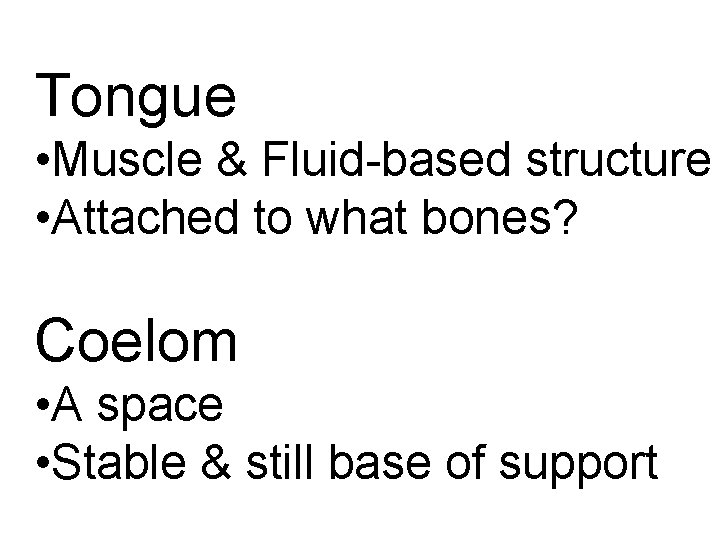 Tongue • Muscle & Fluid-based structure • Attached to what bones? Coelom • A