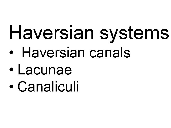 Haversian systems • Haversian canals • Lacunae • Canaliculi 