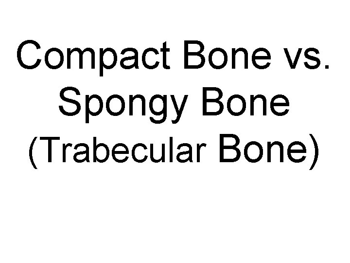 Compact Bone vs. Spongy Bone (Trabecular Bone) 