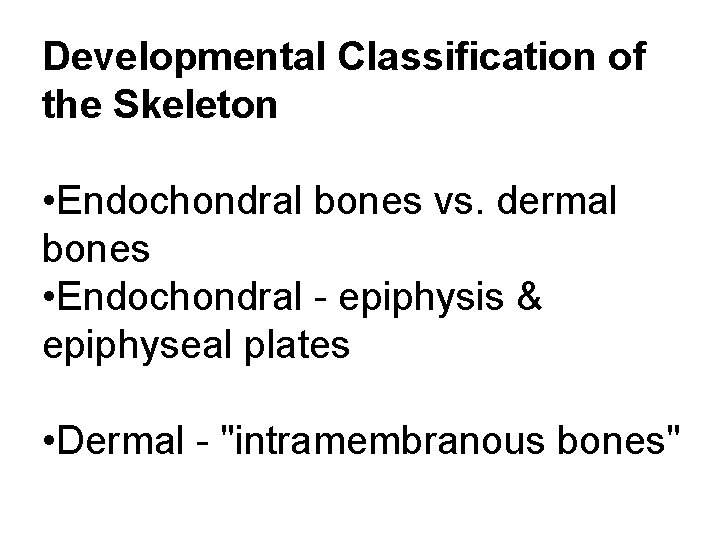 Developmental Classification of the Skeleton • Endochondral bones vs. dermal bones • Endochondral -