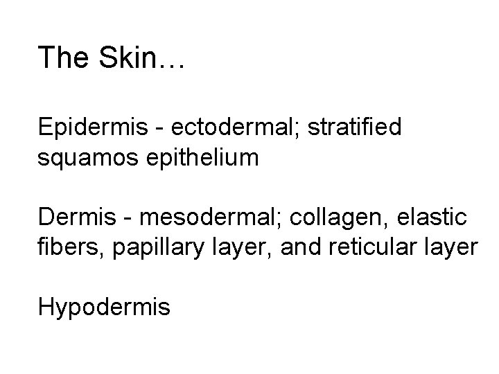 The Skin… Epidermis - ectodermal; stratified squamos epithelium Dermis - mesodermal; collagen, elastic fibers,