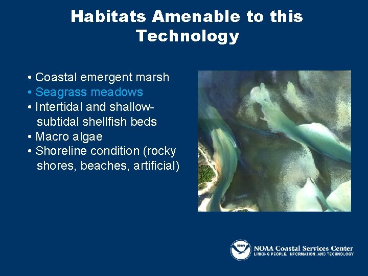 Habitats Amenable to this Technology • Coastal emergent marsh • Seagrass meadows • Intertidal