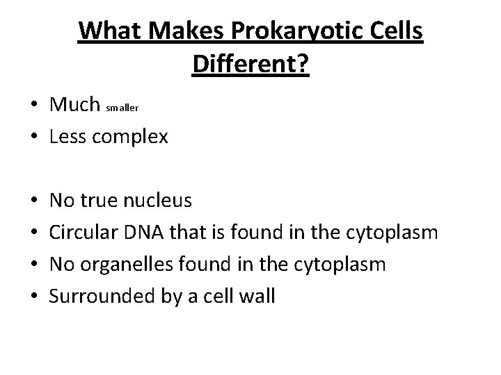 What Makes Prokaryotic Cells Different? • Much smaller • Less complex • • No