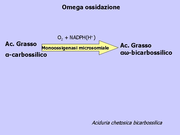 Omega ossidazione Ac. Grasso O 2 + NADPH(H+) Monoossigenasi microsomiale α-carbossilico Ac. Grasso αω-bicarbossilico