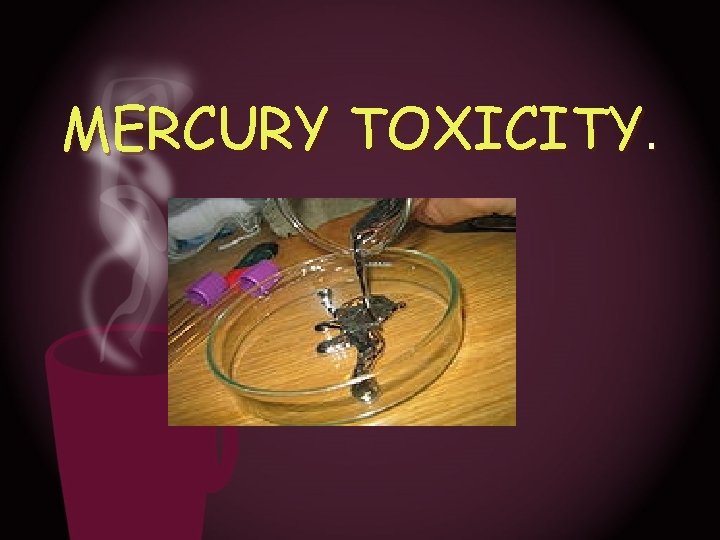 MERCURY TOXICITY. 