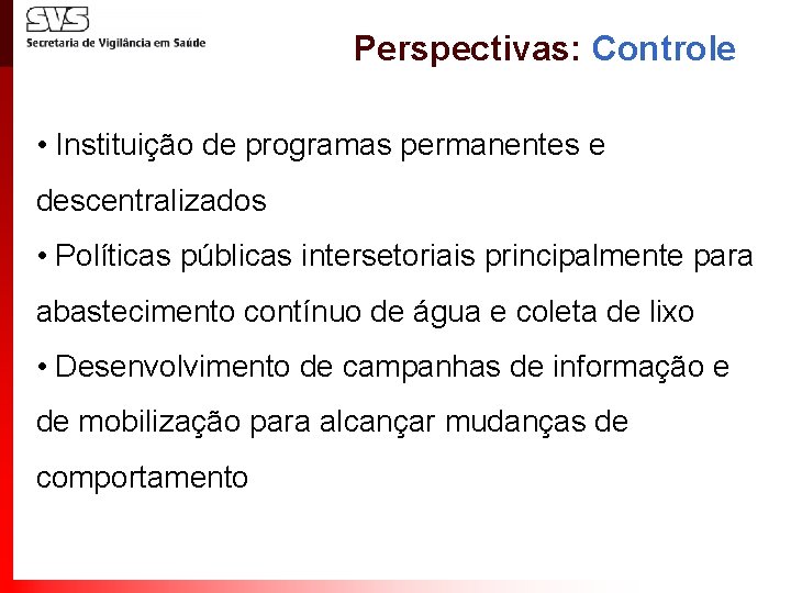 Perspectivas: Controle • Instituição de programas permanentes e descentralizados • Políticas públicas intersetoriais principalmente