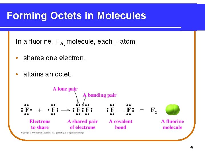 Forming Octets in Molecules In a fluorine, F 2, , molecule, each F atom