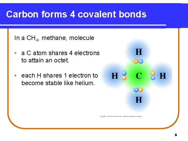 Carbon forms 4 covalent bonds In a CH 4, methane, molecule • a C