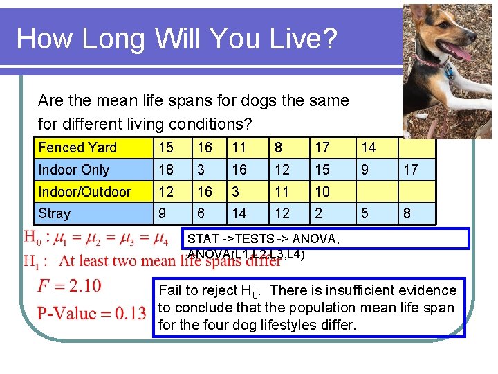 How Long Will You Live? Are the mean life spans for dogs the same