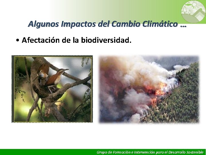 Algunos Impactos del Cambio Climático … • Afectación de la biodiversidad. 15 Grupo de