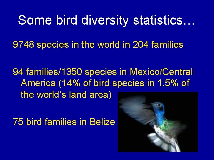 Some bird diversity statistics… 9748 species in the world in 204 families 94 families/1350