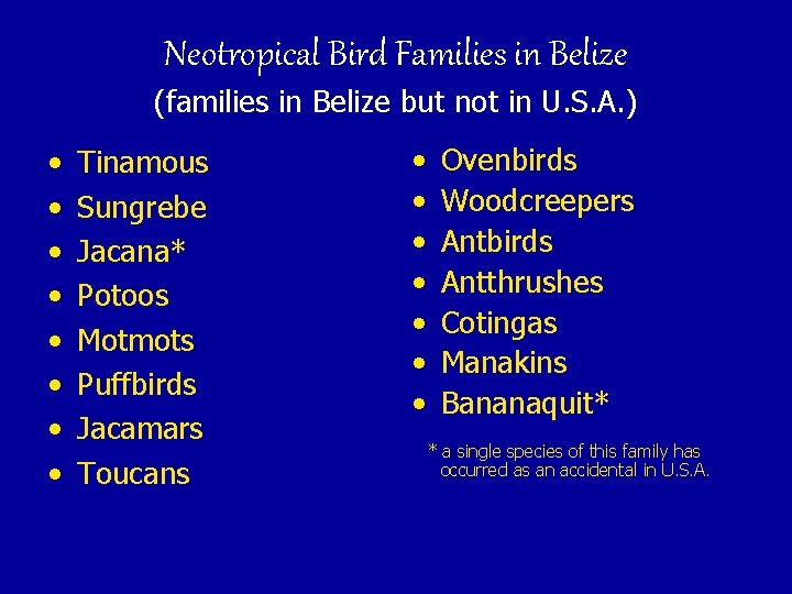 Neotropical Bird Families in Belize (families in Belize but not in U. S. A.