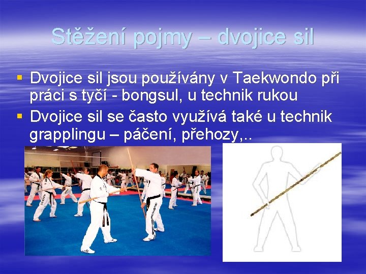 Stěžení pojmy – dvojice sil § Dvojice sil jsou používány v Taekwondo při práci