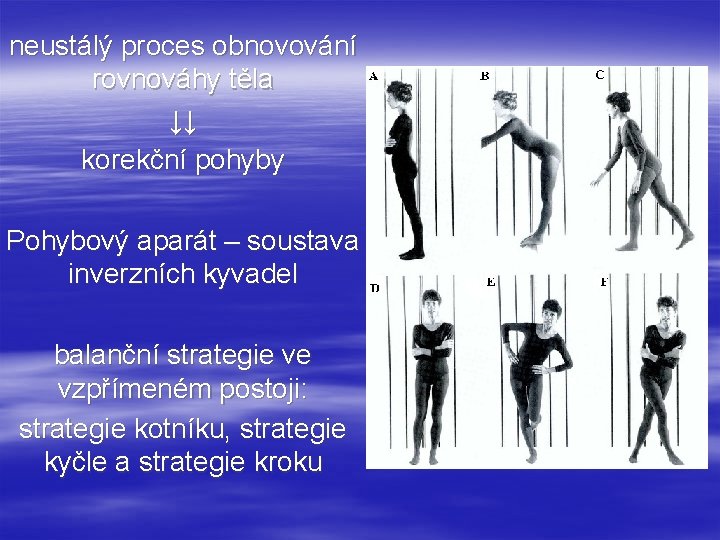 neustálý proces obnovování rovnováhy těla ↓↓ korekční pohyby Pohybový aparát – soustava inverzních kyvadel