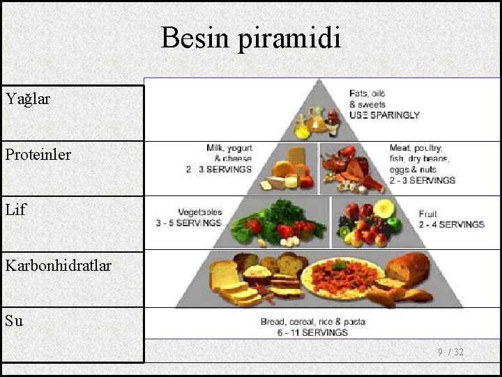 Besin piramidi Yağlar Proteinler Lif Karbonhidratlar Su 9 / 32 