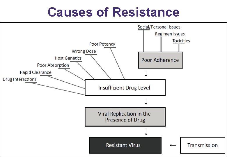 Causes of Resistance 