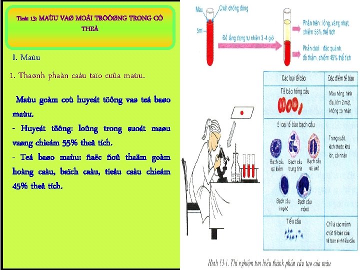 Tieát 13: MAÙU VAØ MO I TRÖÔØNG TRONG CÔ THEÅ I. Maùu 1. Thaønh