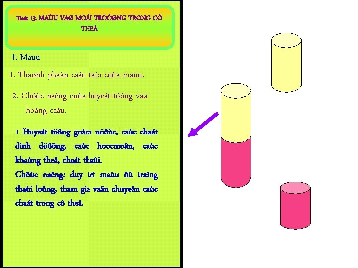 Tieát 13: MAÙU VAØ MO I TRÖÔØNG TRONG CÔ THEÅ I. Maùu 1. Thaønh