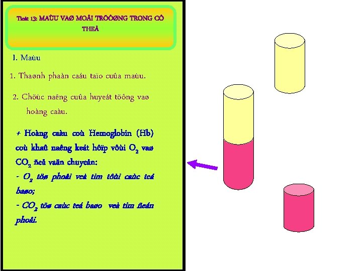 Tieát 13: MAÙU VAØ MO I TRÖÔØNG TRONG CÔ THEÅ I. Maùu 1. Thaønh