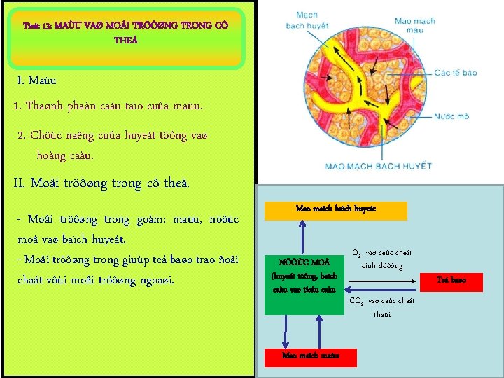 Tieát 13: MAÙU VAØ MO I TRÖÔØNG TRONG CÔ THEÅ I. Maùu 1. Thaønh