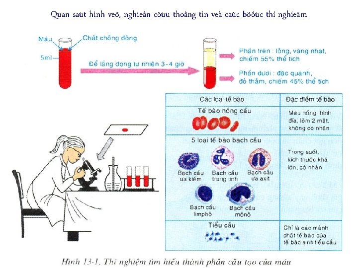 Quan saùt hình veõ, nghieân cöùu thoâng tin veà caùc böôùc thí nghieäm 