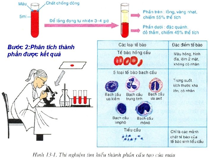 Bước 2: Phân tích thành phần được kết quả 