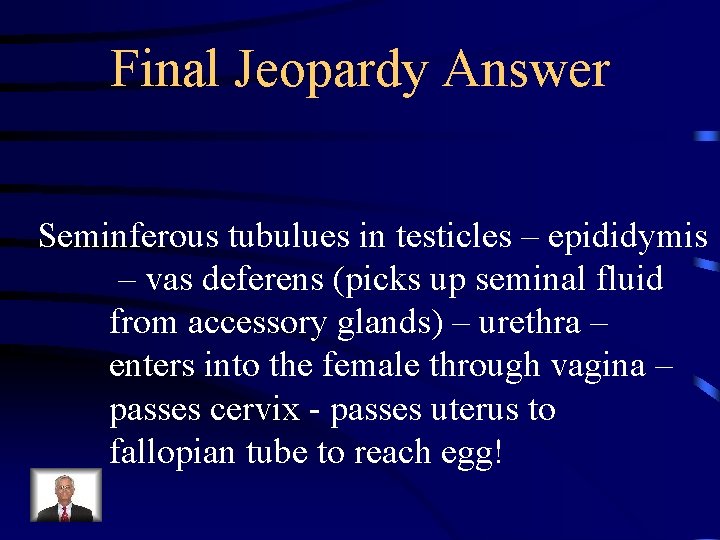 Final Jeopardy Answer Seminferous tubulues in testicles – epididymis – vas deferens (picks up