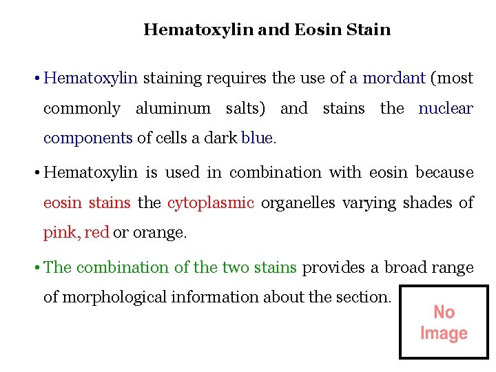 Hematoxylin and Eosin Stain • Hematoxylin staining requires the use of a mordant (most