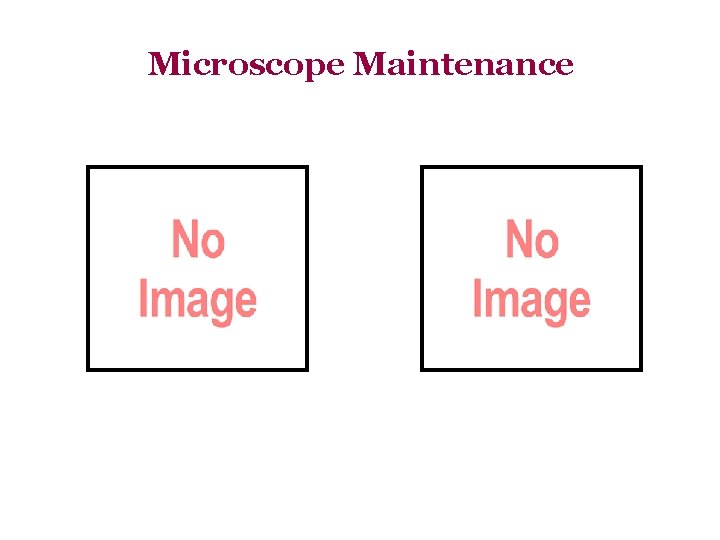 Microscope Maintenance 