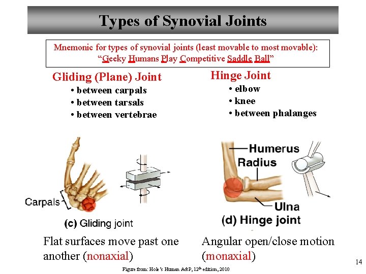 Types of Synovial Joints Mnemonic for types of synovial joints (least movable to most