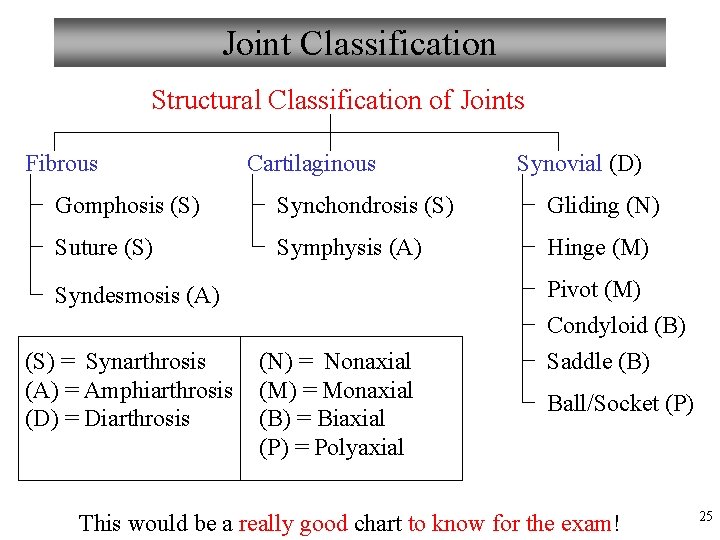 Joint Classification Structural Classification of Joints Fibrous Cartilaginous Synovial (D) Gomphosis (S) Synchondrosis (S)