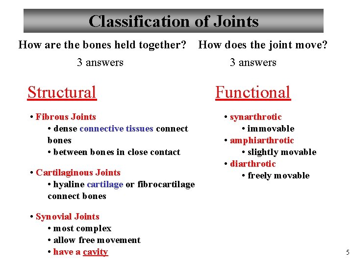 Classification of Joints How are the bones held together? 3 answers Structural • Fibrous