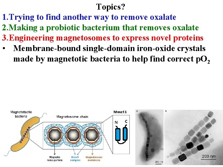 Topics? 1. Trying to find another way to remove oxalate 2. Making a probiotic