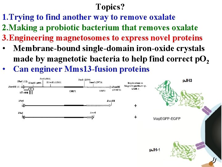 Topics? 1. Trying to find another way to remove oxalate 2. Making a probiotic