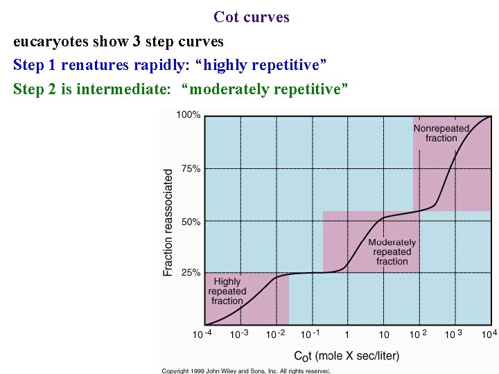 Cot curves eucaryotes show 3 step curves Step 1 renatures rapidly: “highly repetitive” Step