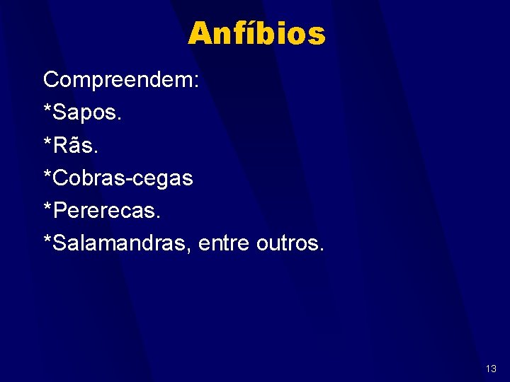 Anfíbios Compreendem: *Sapos. *Rãs. *Cobras-cegas *Pererecas. *Salamandras, entre outros. 13 